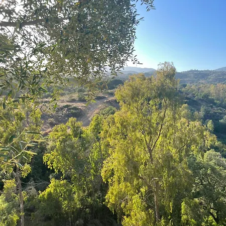 En Elviria, Marbella