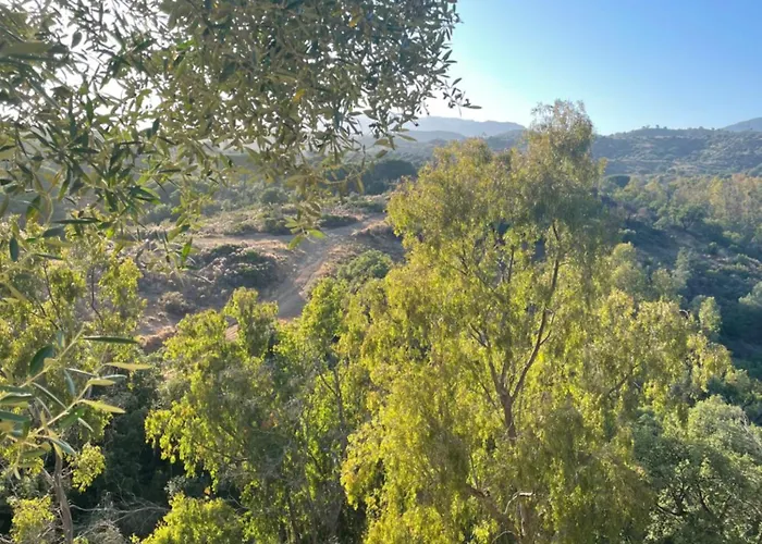 En Elviria, Marbella